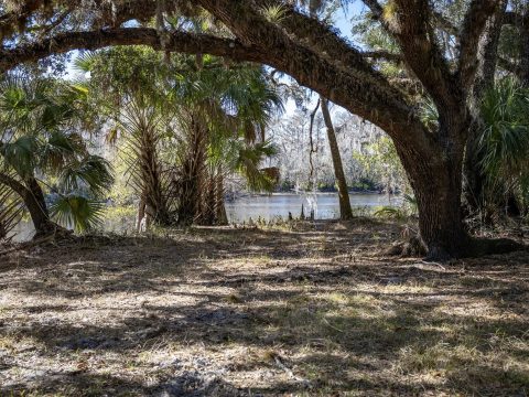 Flames seen in the Everglades as wildfire burns in Broward County
