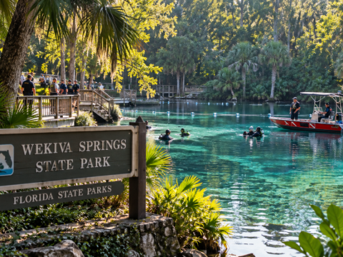 Person found dead at Florida park — Was an alligator involved?