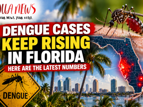 Dengue cases keep rising in Florida: Here are the latest numbers