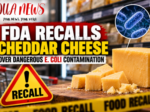 FDA announces cheese recall over dangerous E. Coli contamination (Photo)