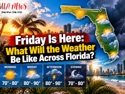 Friday is here: What will the weather be like across Florida?