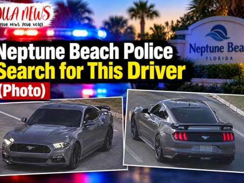 Neptune Beach Police Search for Driver (Photo)