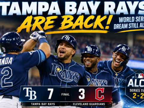 Tampa Bay Rays are back