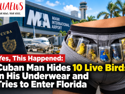 Yes, this happened: Cuban man hides 10 live birds in his underwear and tries to enter Florida