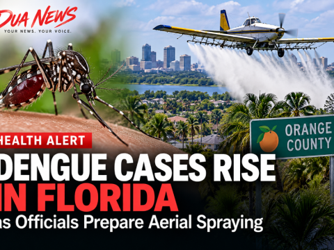 Dengue cases rise in Florida