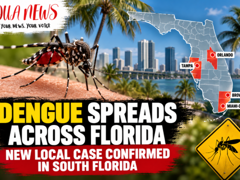 Dengue spreads across Florida — New local case confirmed in South Florida