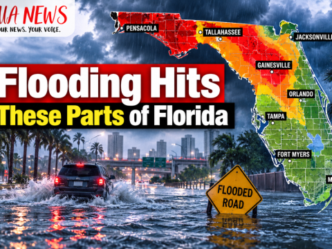 Driving in Florida? Be careful — these areas are seeing flooding