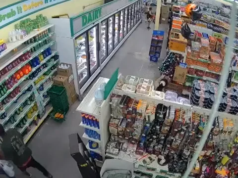 Florida Man arrested after allegedly following woman inside Dollar Tree (Photo)