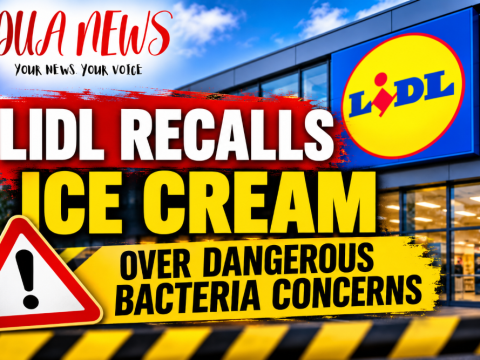 Lidl recalls popular ice cream over dangerous bacteria concerns