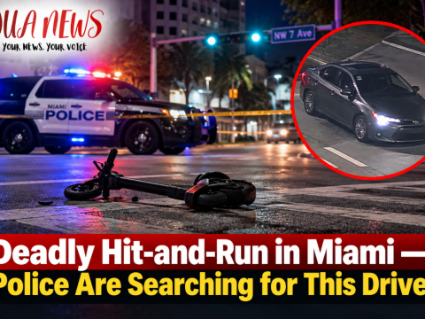 Deadly hit-and-run in Miami — Police are searching for this driver